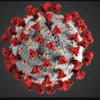 Update from Who on herd immunity 