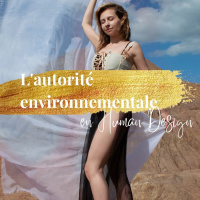 Capsule audio - L Autorité Environnementale en Human Design