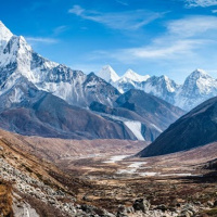 Better Life With You