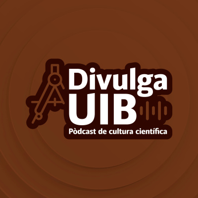 Uibuniversitat