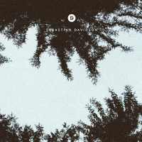 Voyage of Discovery 295