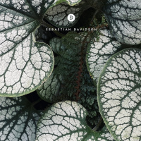 Voyage Of Discovery 229