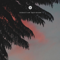 Voyage of Discovery 238