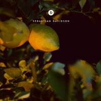 Voyage Of Discovery 220