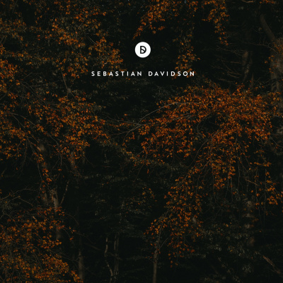 Voyage Of Discovery By Sebastian Davidson