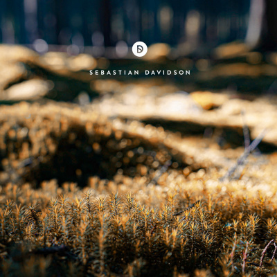 Voyage Of Discovery By Sebastian Davidson