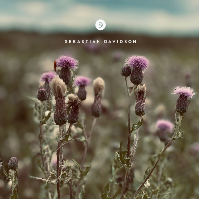 Voyage Of Discovery By Sebastian Davidson