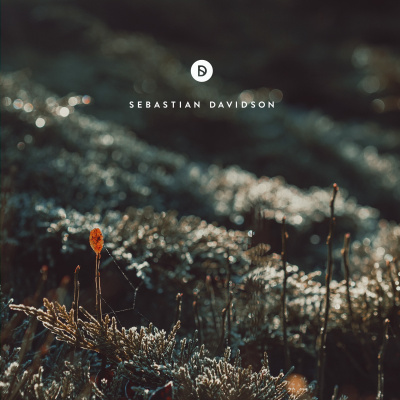 Voyage Of Discovery By Sebastian Davidson