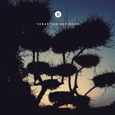 Voyage Of Discovery By Sebastian Davidson