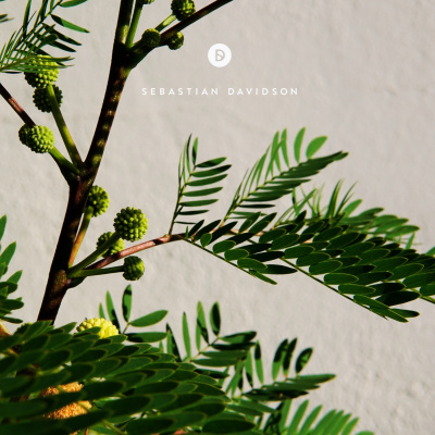 Voyage Of Discovery By Sebastian Davidson