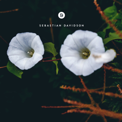 Voyage Of Discovery By Sebastian Davidson