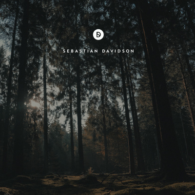 Voyage Of Discovery By Sebastian Davidson