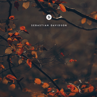 Voyage Of Discovery By Sebastian Davidson