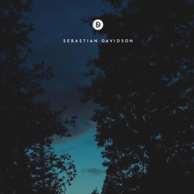 Voyage Of Discovery By Sebastian Davidson