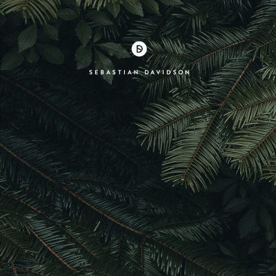 Voyage Of Discovery By Sebastian Davidson