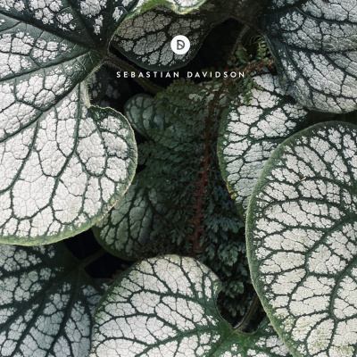 Voyage Of Discovery By Sebastian Davidson