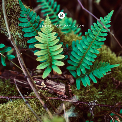 Voyage Of Discovery By Sebastian Davidson