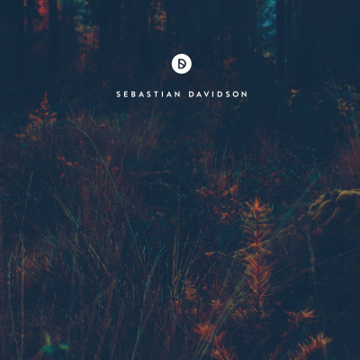 Voyage Of Discovery By Sebastian Davidson