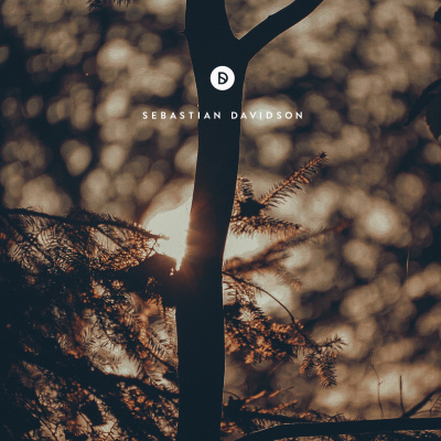 Voyage Of Discovery By Sebastian Davidson