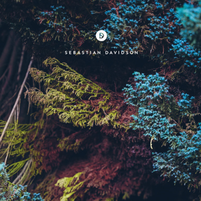 Voyage Of Discovery By Sebastian Davidson