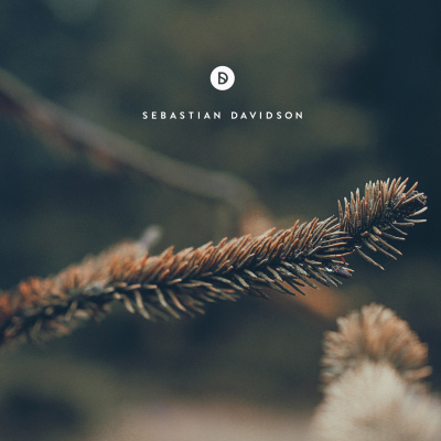 Voyage Of Discovery By Sebastian Davidson