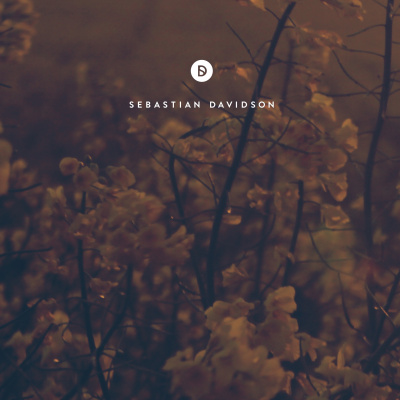 Voyage Of Discovery By Sebastian Davidson