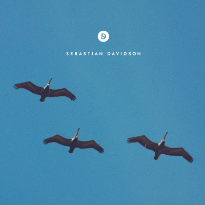 Voyage Of Discovery By Sebastian Davidson