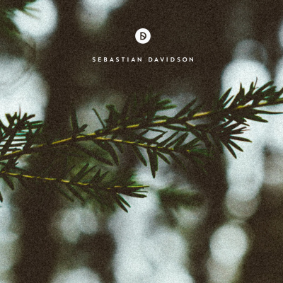 Voyage Of Discovery By Sebastian Davidson