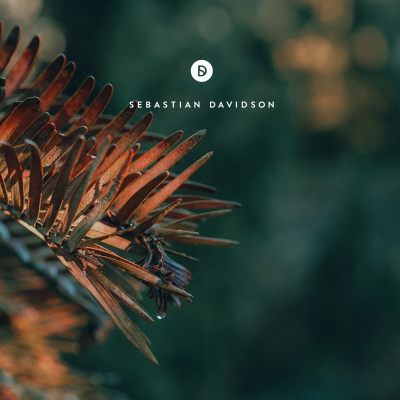 Voyage Of Discovery By Sebastian Davidson