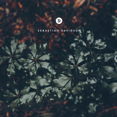 Voyage Of Discovery By Sebastian Davidson