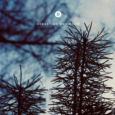 Voyage Of Discovery By Sebastian Davidson