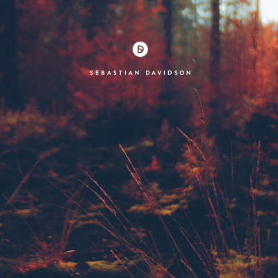 Voyage Of Discovery By Sebastian Davidson