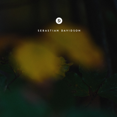 Voyage Of Discovery By Sebastian Davidson