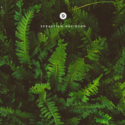 Voyage Of Discovery By Sebastian Davidson