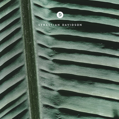 Voyage Of Discovery By Sebastian Davidson