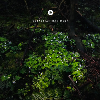 Voyage Of Discovery By Sebastian Davidson