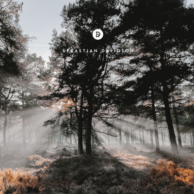 Voyage Of Discovery By Sebastian Davidson