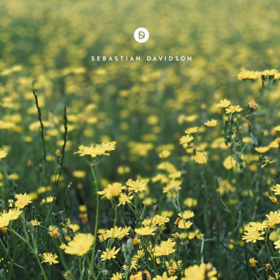 Voyage Of Discovery By Sebastian Davidson