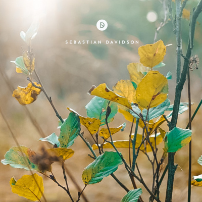 Voyage Of Discovery By Sebastian Davidson