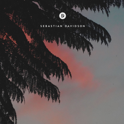 Voyage Of Discovery By Sebastian Davidson