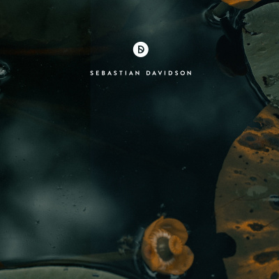 Voyage Of Discovery By Sebastian Davidson