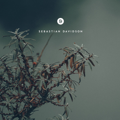 Voyage Of Discovery By Sebastian Davidson