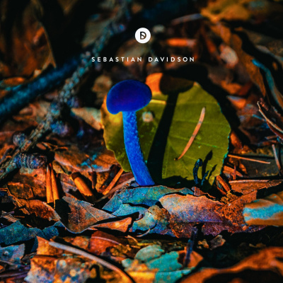 Voyage Of Discovery By Sebastian Davidson