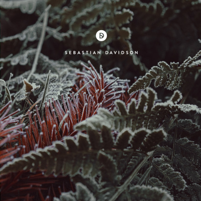 Voyage Of Discovery By Sebastian Davidson