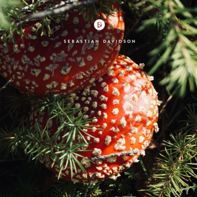 Voyage Of Discovery By Sebastian Davidson