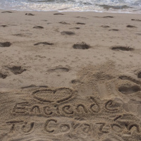 Creer para Crear ✨