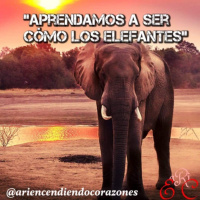 Aprendamos a SER como los elefantes 