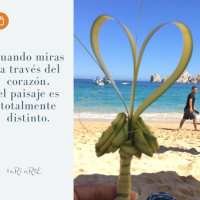 Día 8- Entrenamiento el despertar con un Corazón Encendido