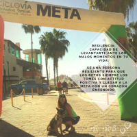 Te han dicho que No en algún momento de tu vida? 