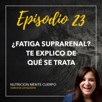 23 ¿Fatiga suprarrenal? Te explico de qué se trata